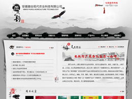 藝創(chuàng)網(wǎng)絡(luò) 打造專業(yè)產(chǎn)品展示類網(wǎng)站，助力企業(yè)營銷升級